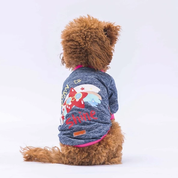 PawStar Koyu Mavi Shine Küçük Irk Sweat ürün görseli
