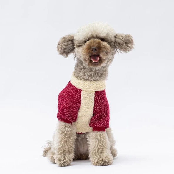 PawStar Bordo Alaska Sweat Küçük ve Orta Irk - Resim 4