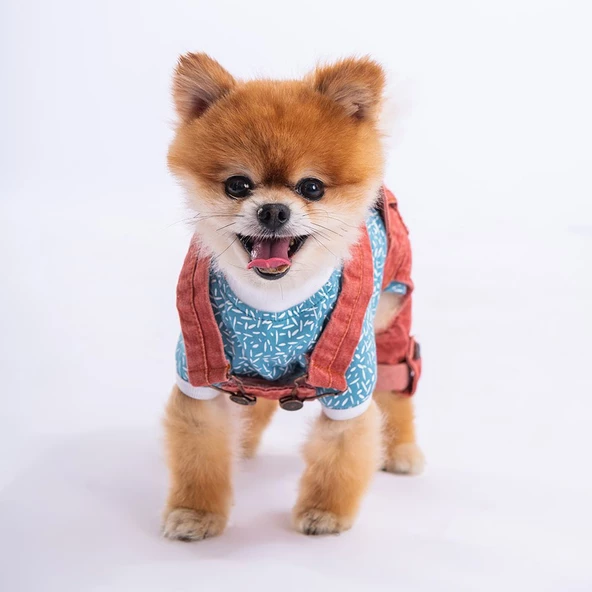 PawStar Kırmızı 2'li Denim Salopet Küçük ve Orta Irk Tulum - 2