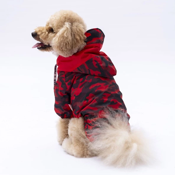 PawStar Kırmızı Dijon Yağmurluk Küçük ve Orta Irk - 2