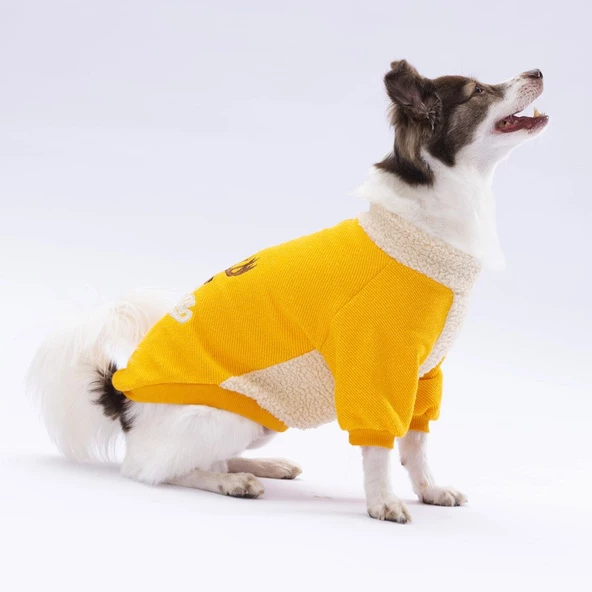 PawStar Sarı Alaska Sweat Küçük ve Orta Irk - 3