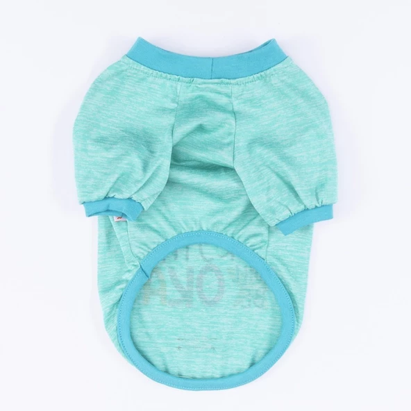 PawStar Mint Everything Will Be Okay Küçük Irk Sweat - 5