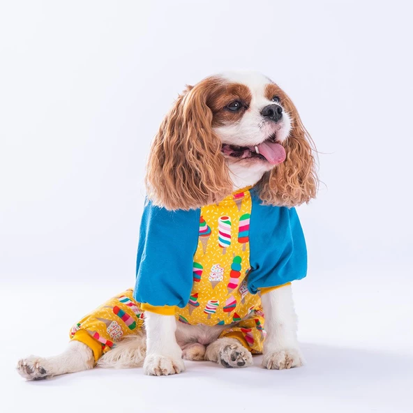 PawStar Ice Creams Penye Tulum - 2