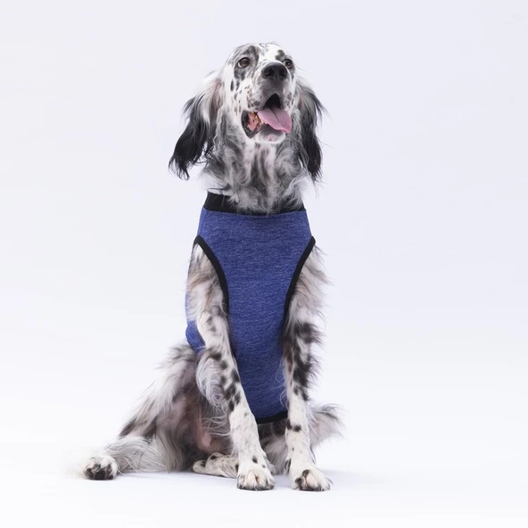 PawStar Lacivert Travel Büyük Irk T-Shirt - 3