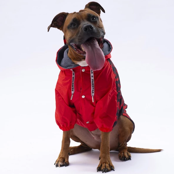 PawStar Kırmızı Dijon Büyük Irk Yağmurluk - 2