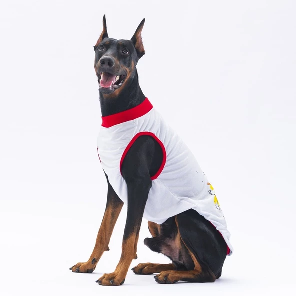 PawStar Gri Summer Büyük Irk T-Shirt - 3