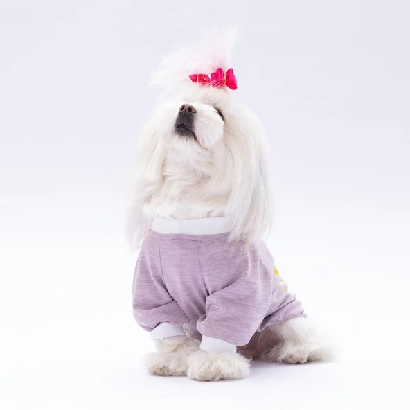 PawStar Lila Dude Küçük Irk Sweat - 2