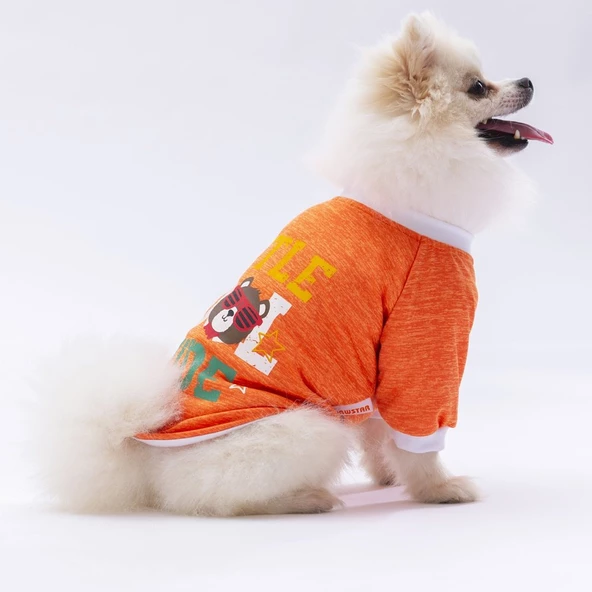 PawStar Turuncu Dude Küçük Irk Sweat - 3