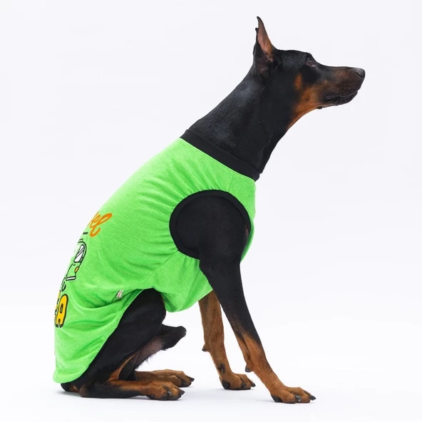 PawStar Yeşil Travel Büyük Irk T-Shirt - 3