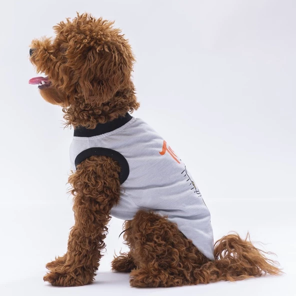 PawStar Gri Travel T-Shirt - 2