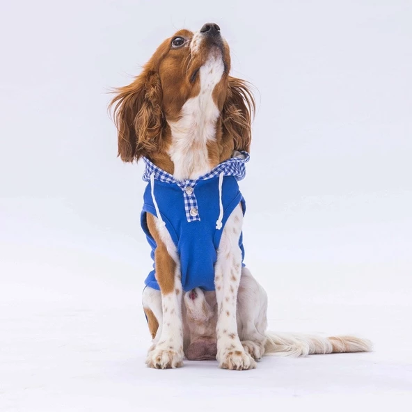 PawStar Mavi Gingham Kapşonlu Polo T-Shirt - Resim 2