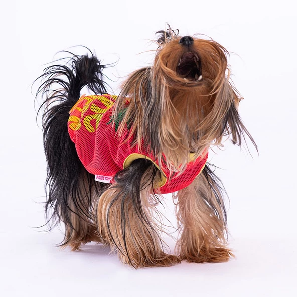 PawStar Pineapple Mesh T-Shirt - 2