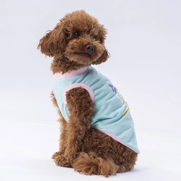 PawStar Mint Joy T-Shirt - 3