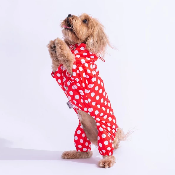 PawStar Kırmızı Puantiyeli Tulum Yağmurluk Küçük ve Orta Irk - 3