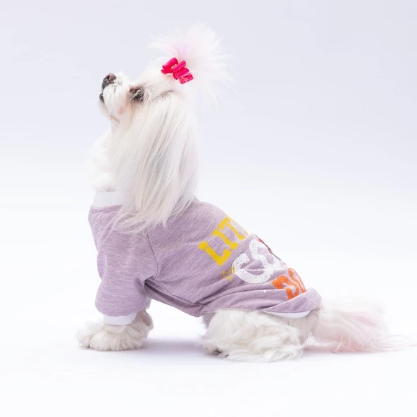 PawStar Lila Dude Küçük Irk Sweat - 3