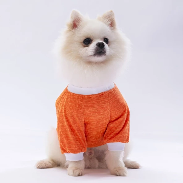 PawStar Turuncu Dude Küçük Irk Sweat - 2