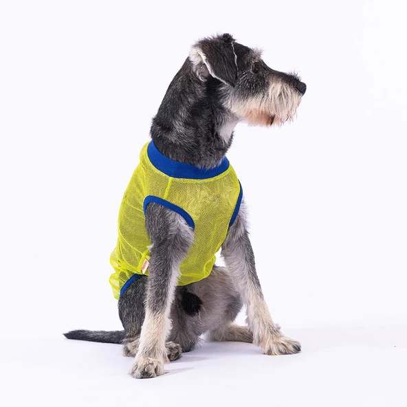 PawStar Super Hero Mesh T-Shirt - 2