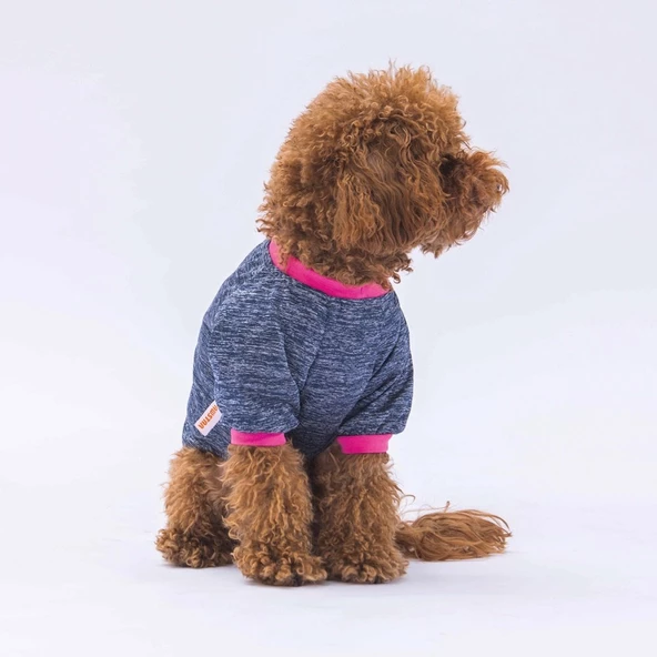 PawStar Koyu Mavi Shine Küçük Irk Sweat - Resim 2