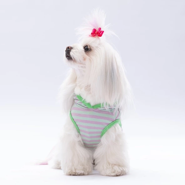 PawStar Mint Sunny Kapşonlu T-Shirt - 3