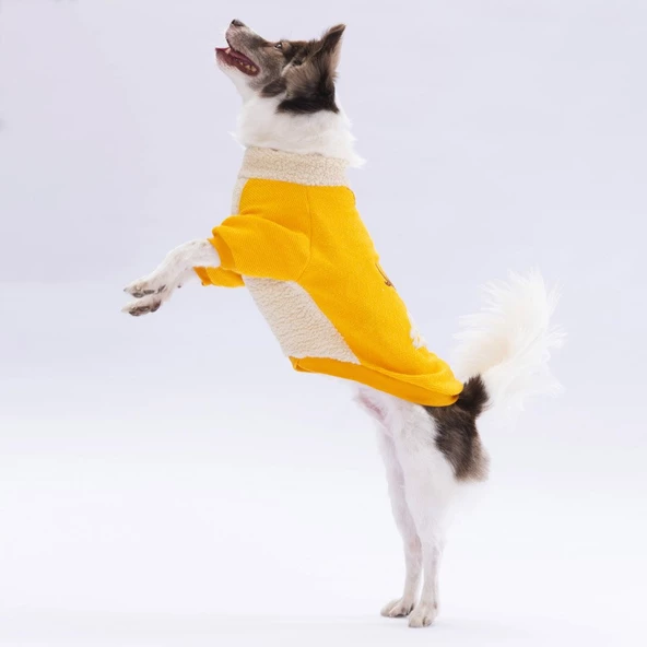 PawStar Sarı Alaska Sweat Küçük ve Orta Irk - 2