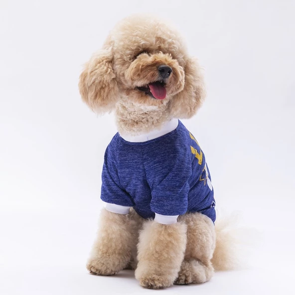 PawStar Mavi Dude Küçük Irk Sweat - Resim 2