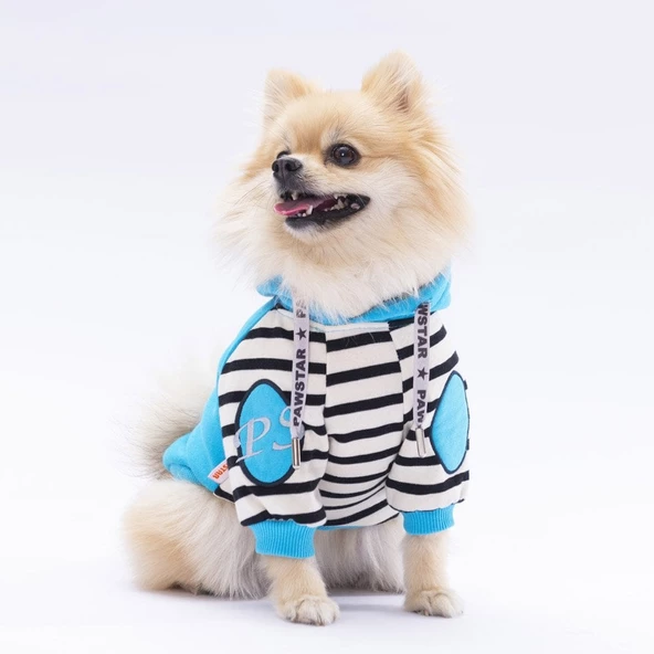 PawStar Turkuaz Lucky Club Hoodie Küçük ve Orta Irk - Resim 4