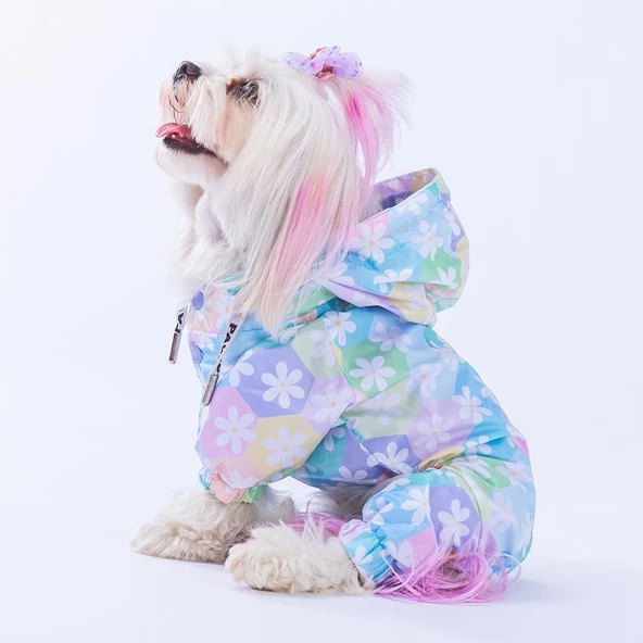 PawStar Flores Tulum Yağmurluk Küçük ve Orta Irk - 2