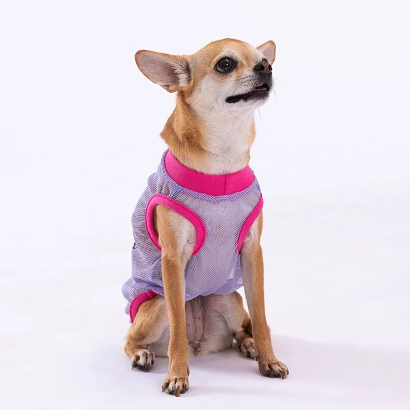 PawStar Our Flock Rocks Mesh T-Shirt - 2