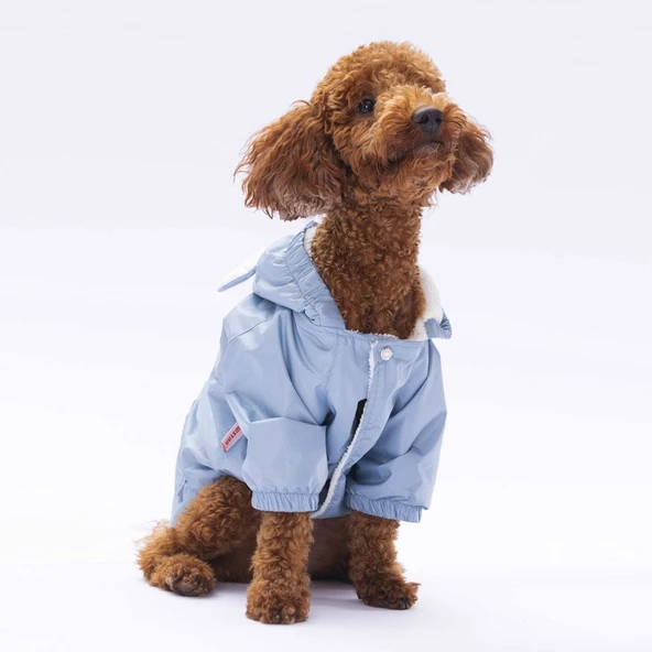 PawStar  Gri Sydney Yağmurluk Küçük ve Orta Irk - 3