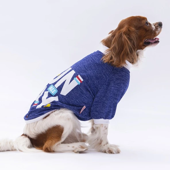 PawStar Mavi Fun Day Küçük Irk Sweat - 3