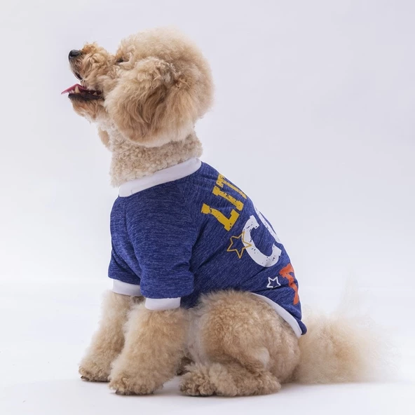 PawStar Mavi Dude Küçük Irk Sweat - Resim 3