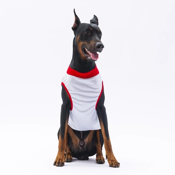 PawStar Gri Summer Büyük Irk T-Shirt - 2