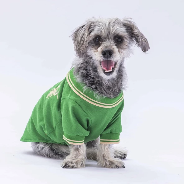 PawStar Yeşil Marine Polo Yaka T-Shirt - Resim 2