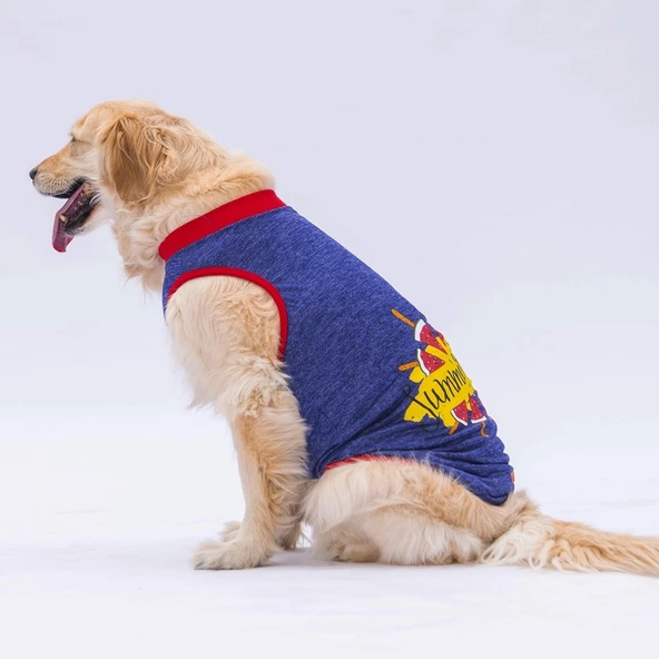 PawStar Lacivert Summer Büyük Irk T-Shirt - 2