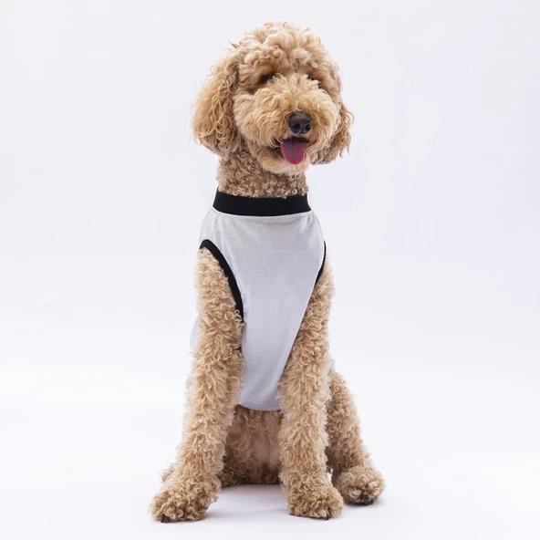 PawStar Gri Travel Büyük Irk T-Shirt - 2