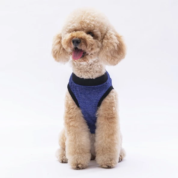 PawStar Lacivert Travel T-Shirt - Resim 2