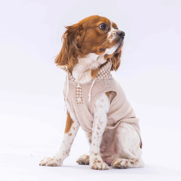 PawStar Bej Gingham Kapşonlu Polo T-Shirt - 2