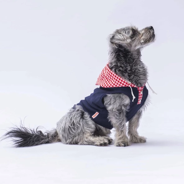 PawStar Lacivert Gingham Kapşonlu Polo T-Shirt - 4