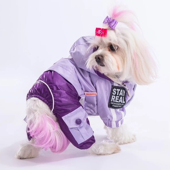 PawStar Lila Mor Bicolor Tulum Yağmurluk Küçük ve Orta Irk - 2