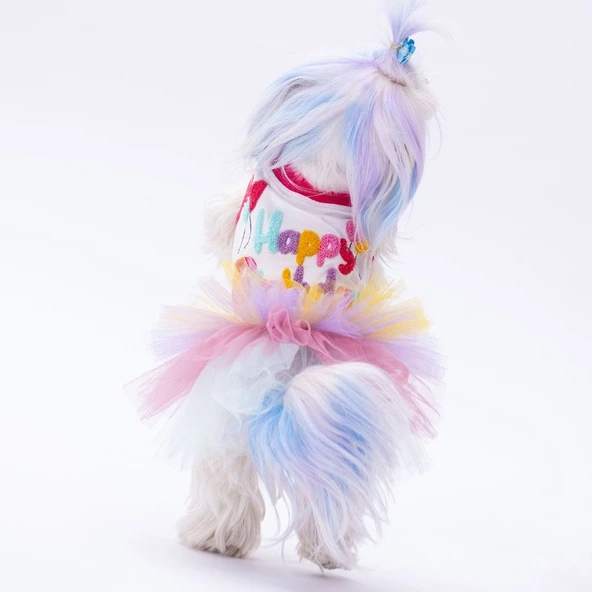 PawStar Happy Birthday Elbise - Resim 2