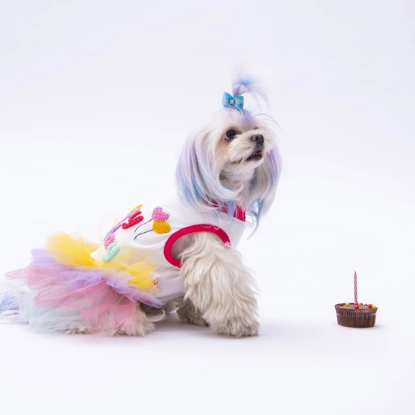 PawStar Happy Birthday Elbise ürün görseli