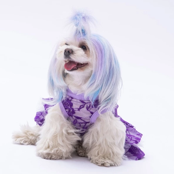 PawStar Mor Rosa Elbise - 2