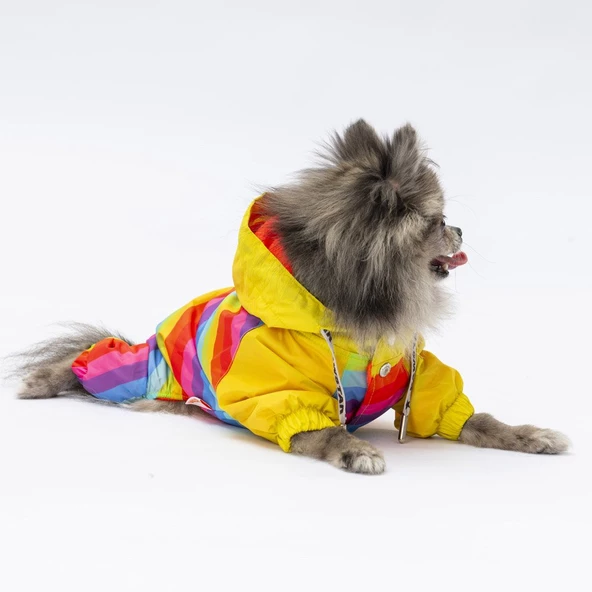 PawStar  Peru Tulum Yağmurluk Küçük ve Orta Irk - 4