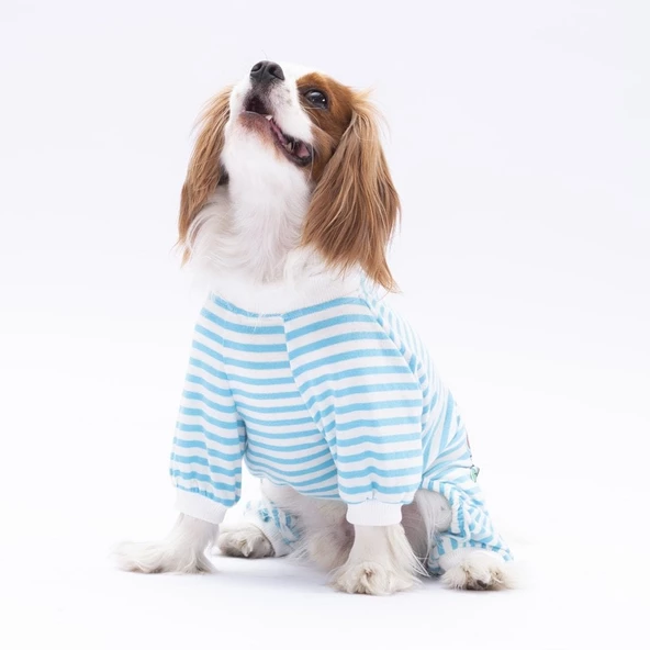 PawStar Mavi Just More Pijama Tulum - 2
