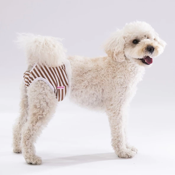 PawStar Çizgili Çamaşır (Paket de Farklı  Renkte 3 Adet Bulunur) - 1