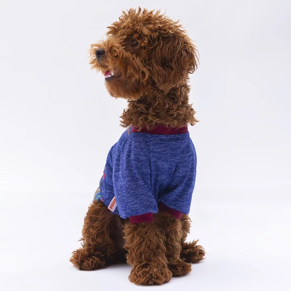 PawStar Mavi Everything Will Be Okay Küçük Irk Sweat - 2