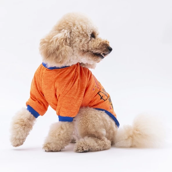 PawStar Turuncu Everything Will Be Okay Küçük Irk Sweat - Resim 3