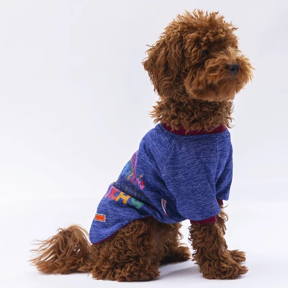 PawStar Mavi Everything Will Be Okay Küçük Irk Sweat - 3