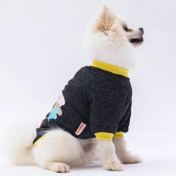 PawStar Siyah Shine Küçük Irk Sweat - Resim 3