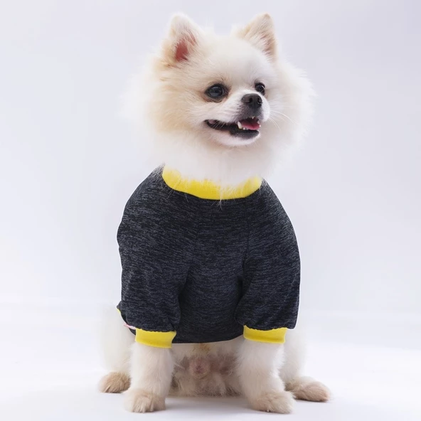 PawStar Siyah Shine Küçük Irk Sweat - Resim 2